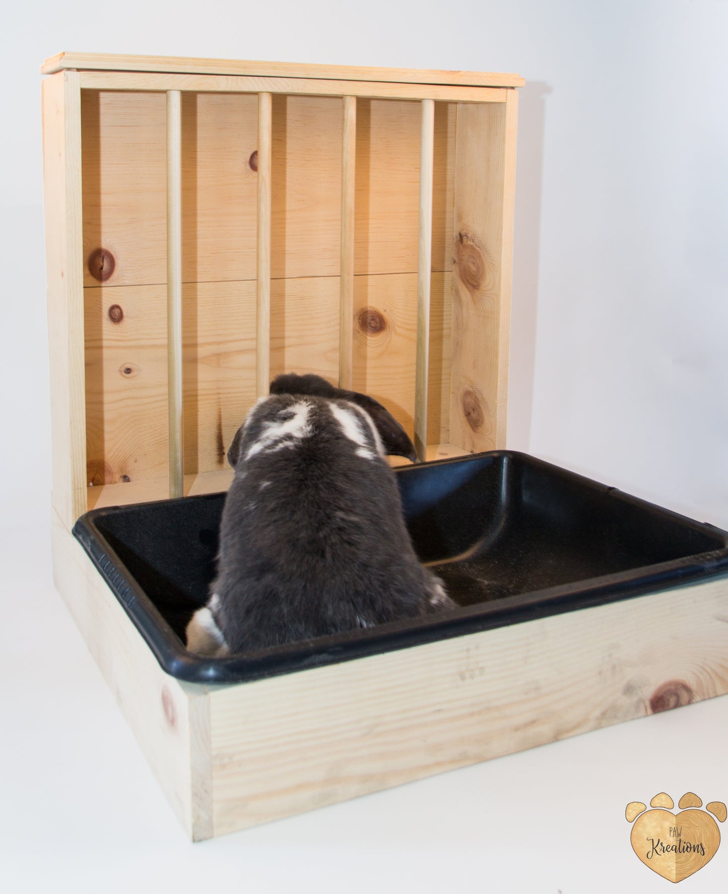 Bunny Buffet
